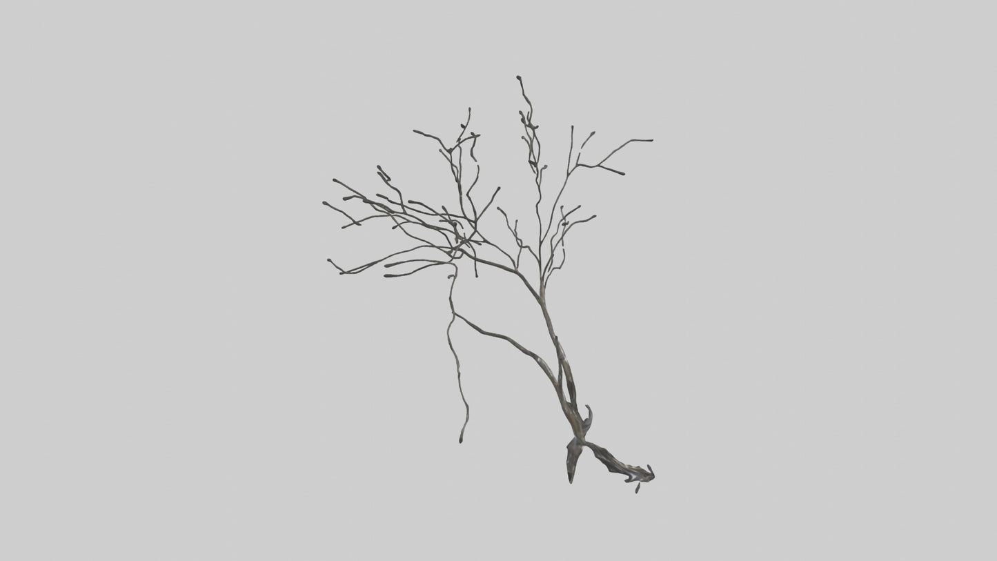 Fluid Branch Sculpture model VR / AR / low-poly