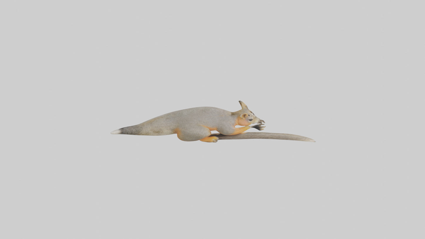 Fox Squirrel perched model VR / AR / low-poly
