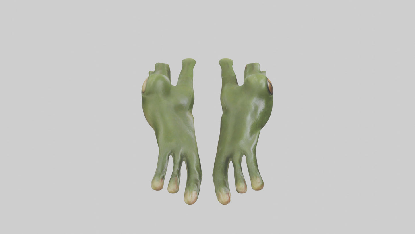 Frog Feet Model 3D model