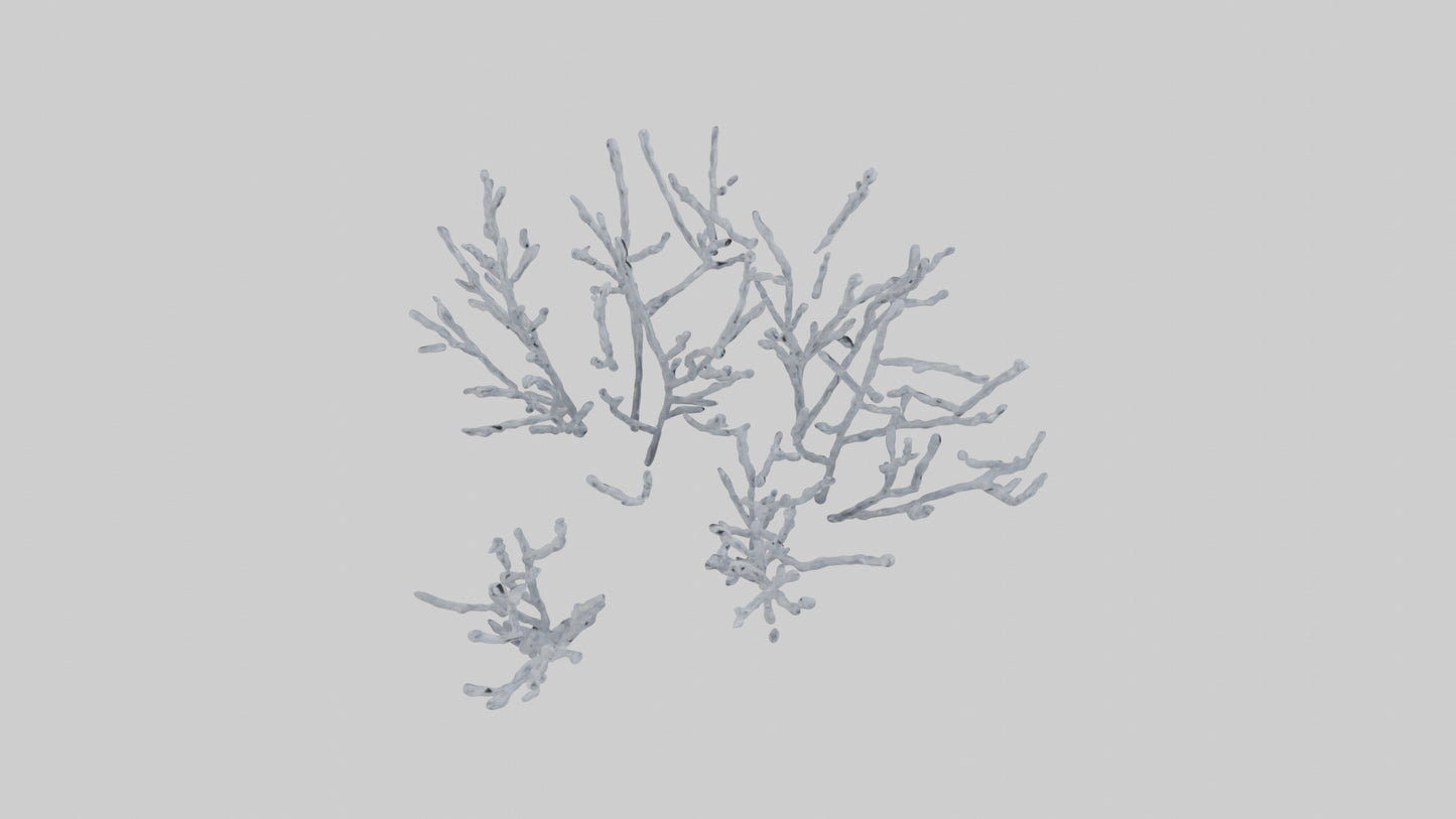 3D model Frosted Branches model VR / AR / low-poly