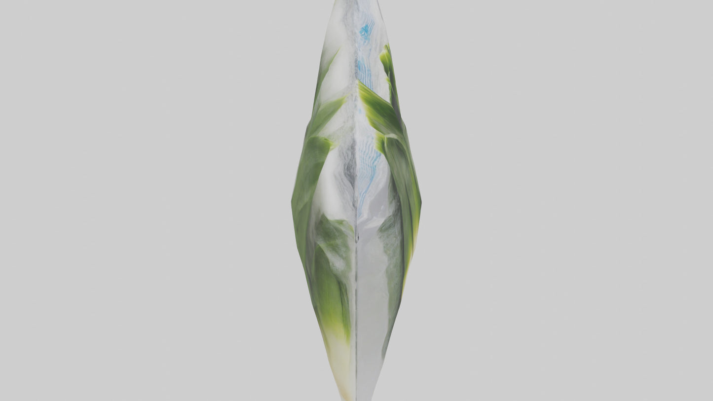 Frozen Leeks Pack model 3D model