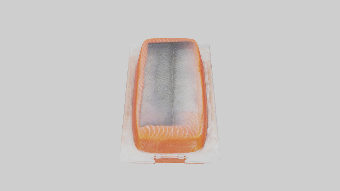 Frozen Salmon Fillet Pack model 3D model