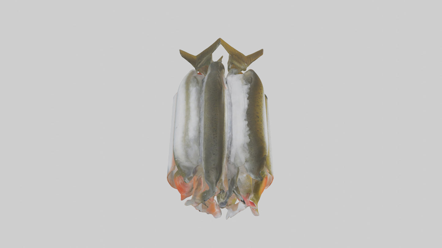 Frozen Trout Pack model VR / AR / low-poly
