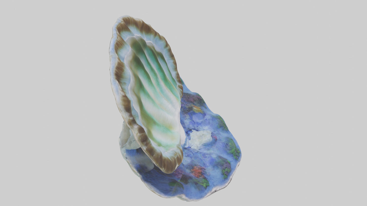 3D model Giant Clam resting on reef model VR / AR / low-poly