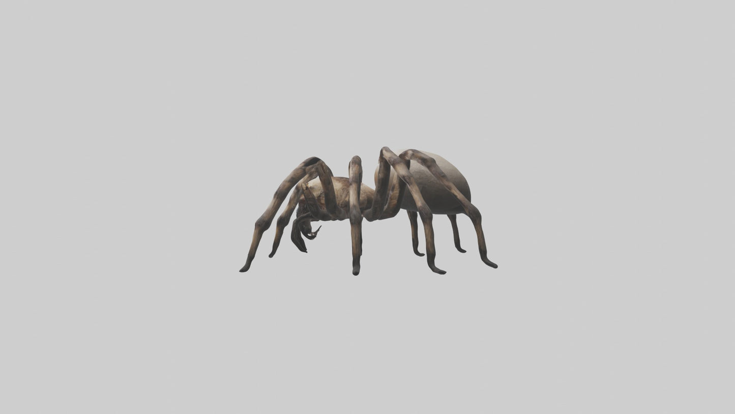 3D model Giant Spider VR / AR / low-poly