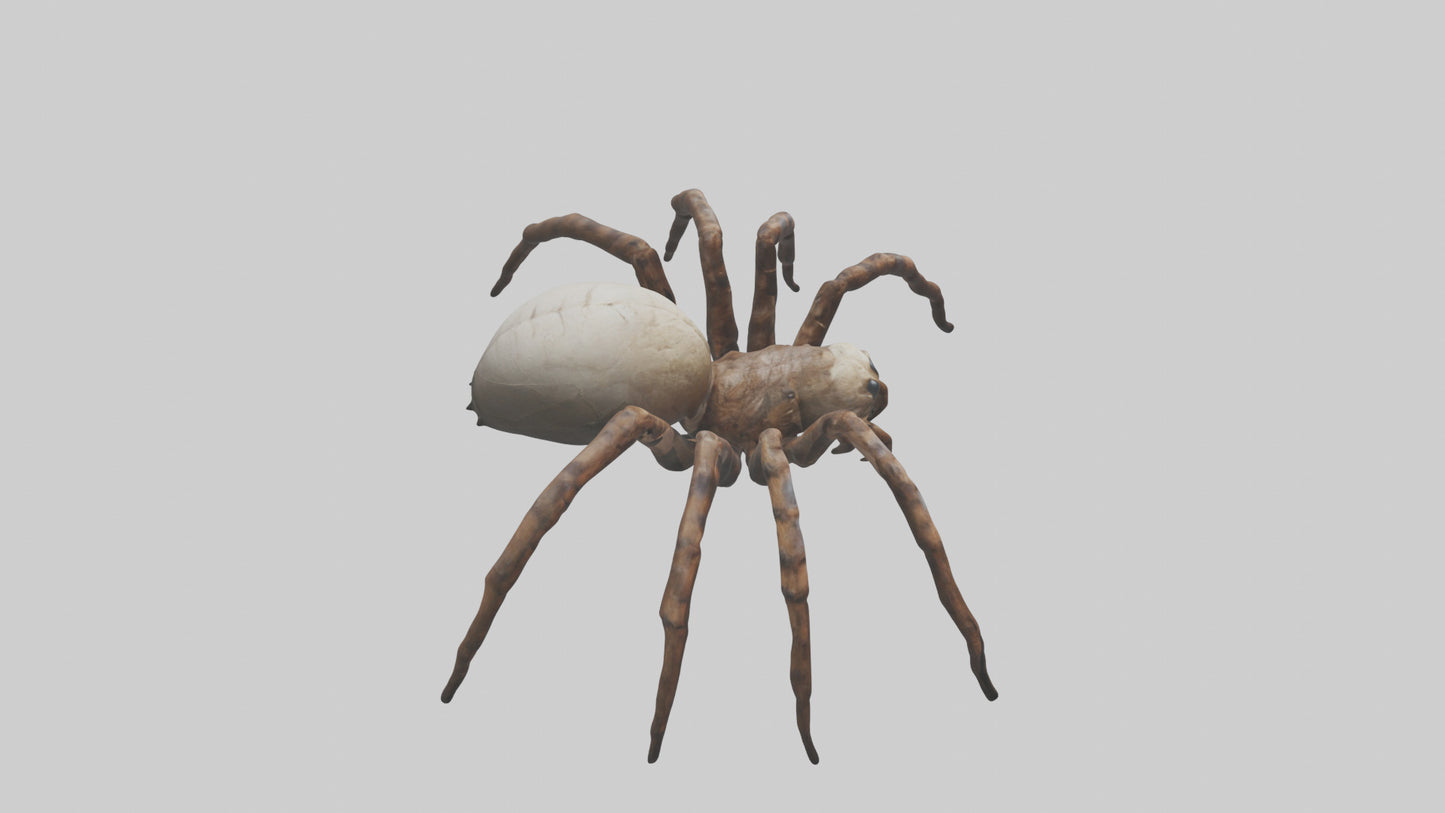 Giant Spider model VR / AR / low-poly