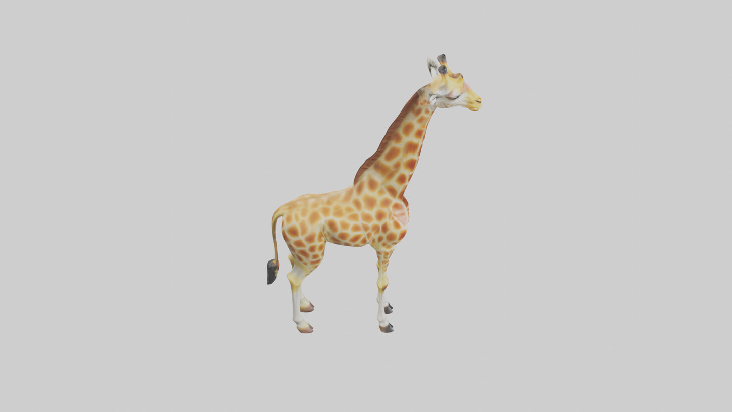 3D model Giraffe grazing model VR / AR / low-poly