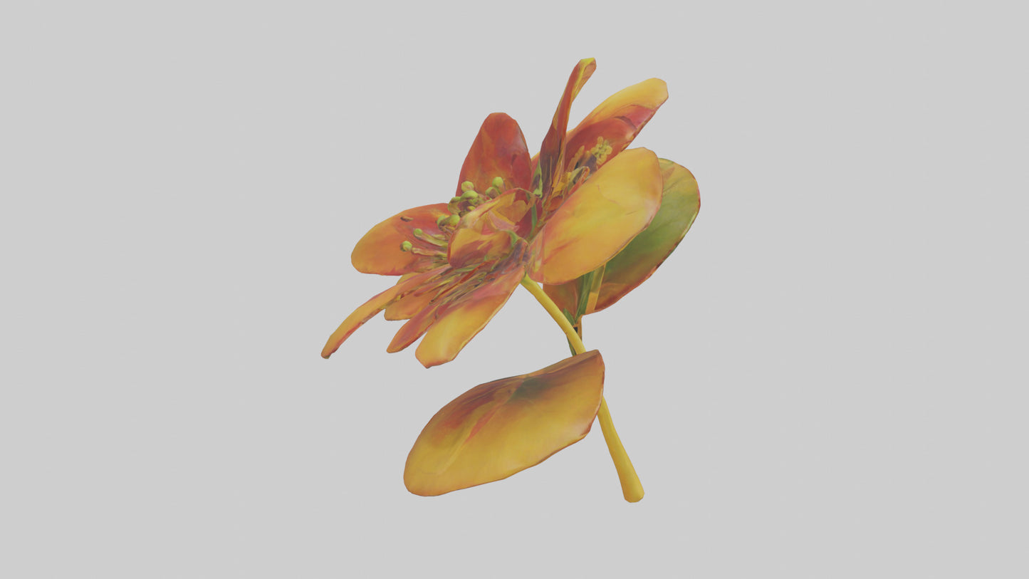 3D model Gloriosa flower model VR / AR / low-poly