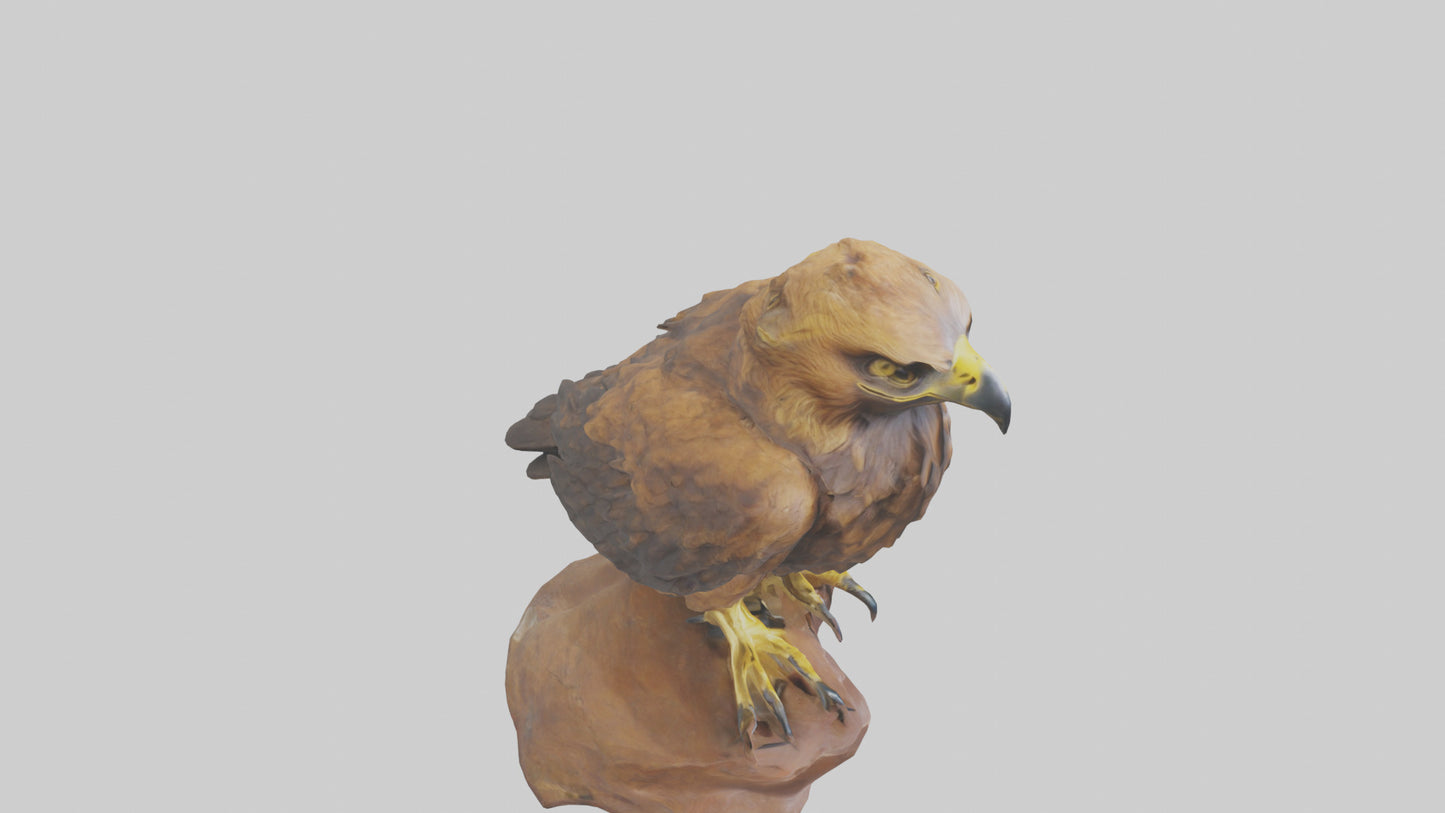 3D model Golden Eagle perched model VR / AR / low-poly