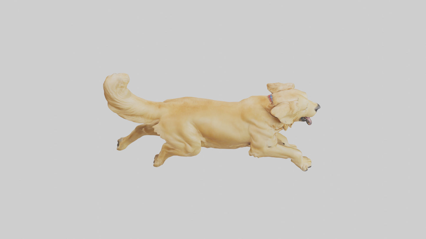3D model Golden Retriever running model VR / AR / low-poly