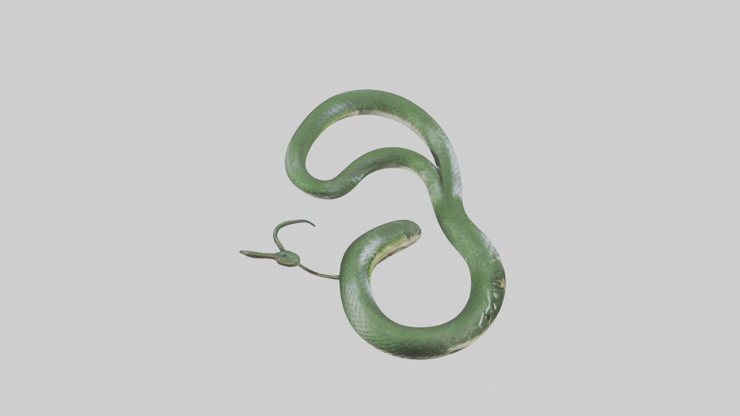 3D model Grass Snake slithering model VR / AR / low-poly