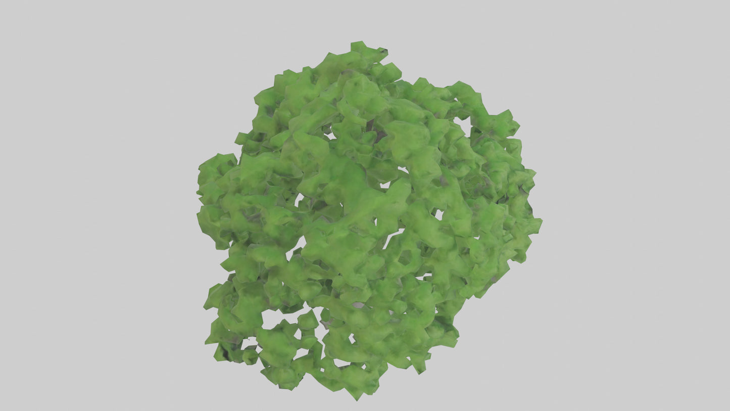 3D model Green Ash tree model VR / AR / low-poly