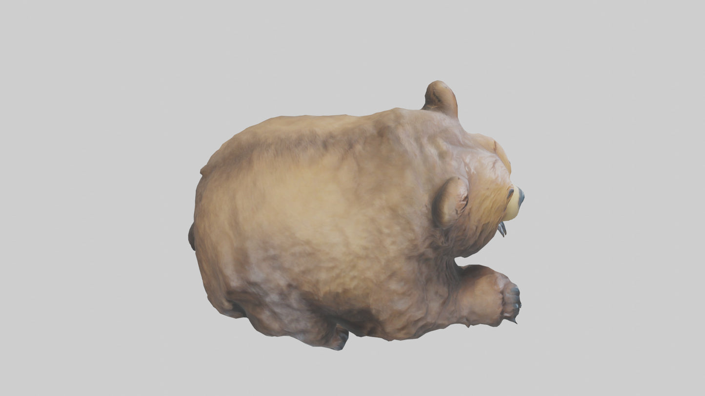 Grizzly Cub playing model VR / AR / low-poly