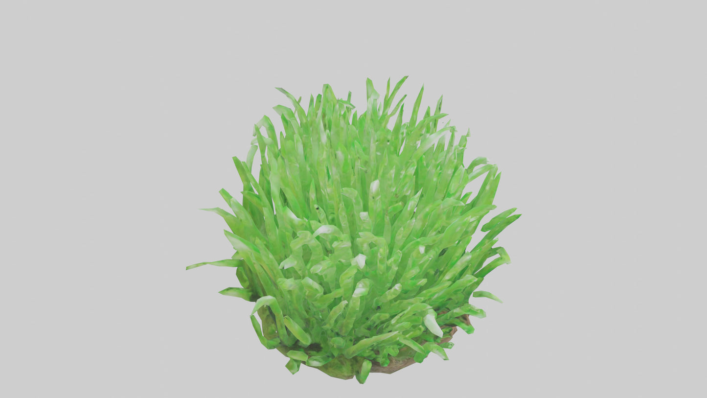 3D model Growing Grass Sculpture model VR / AR / low-poly