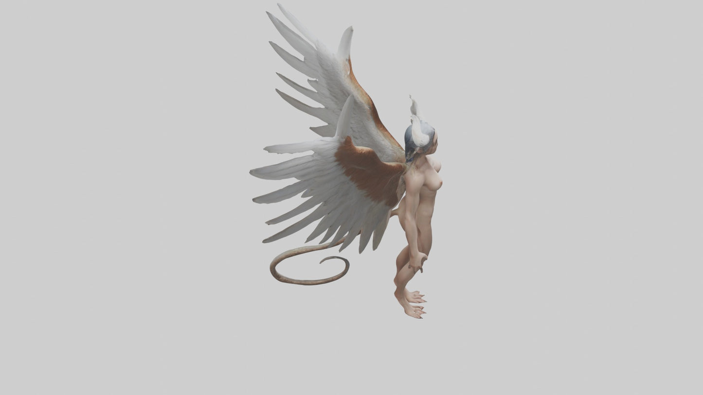 3D model Harpy Model VR / AR / low-poly