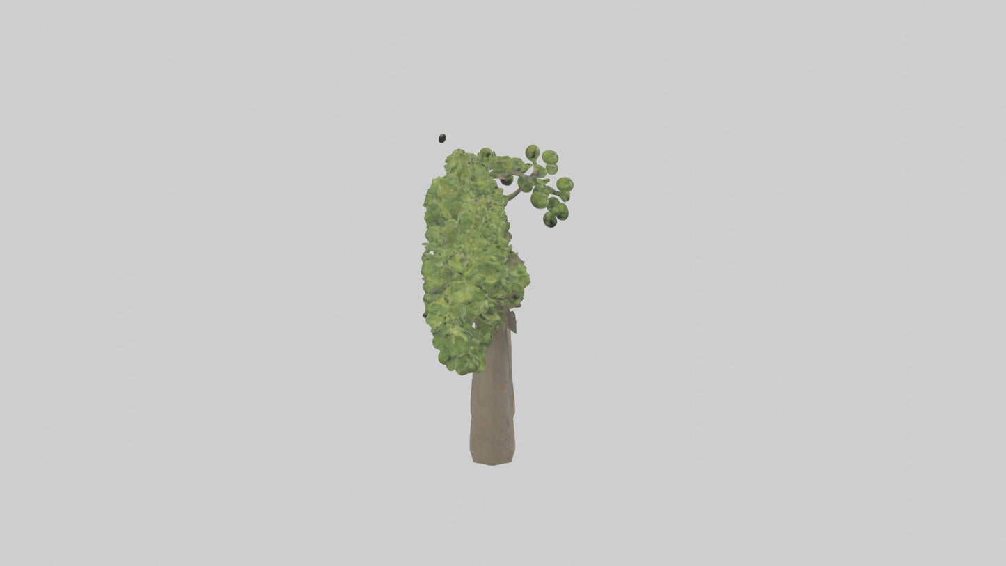 3D model Hazel tree model VR / AR / low-poly