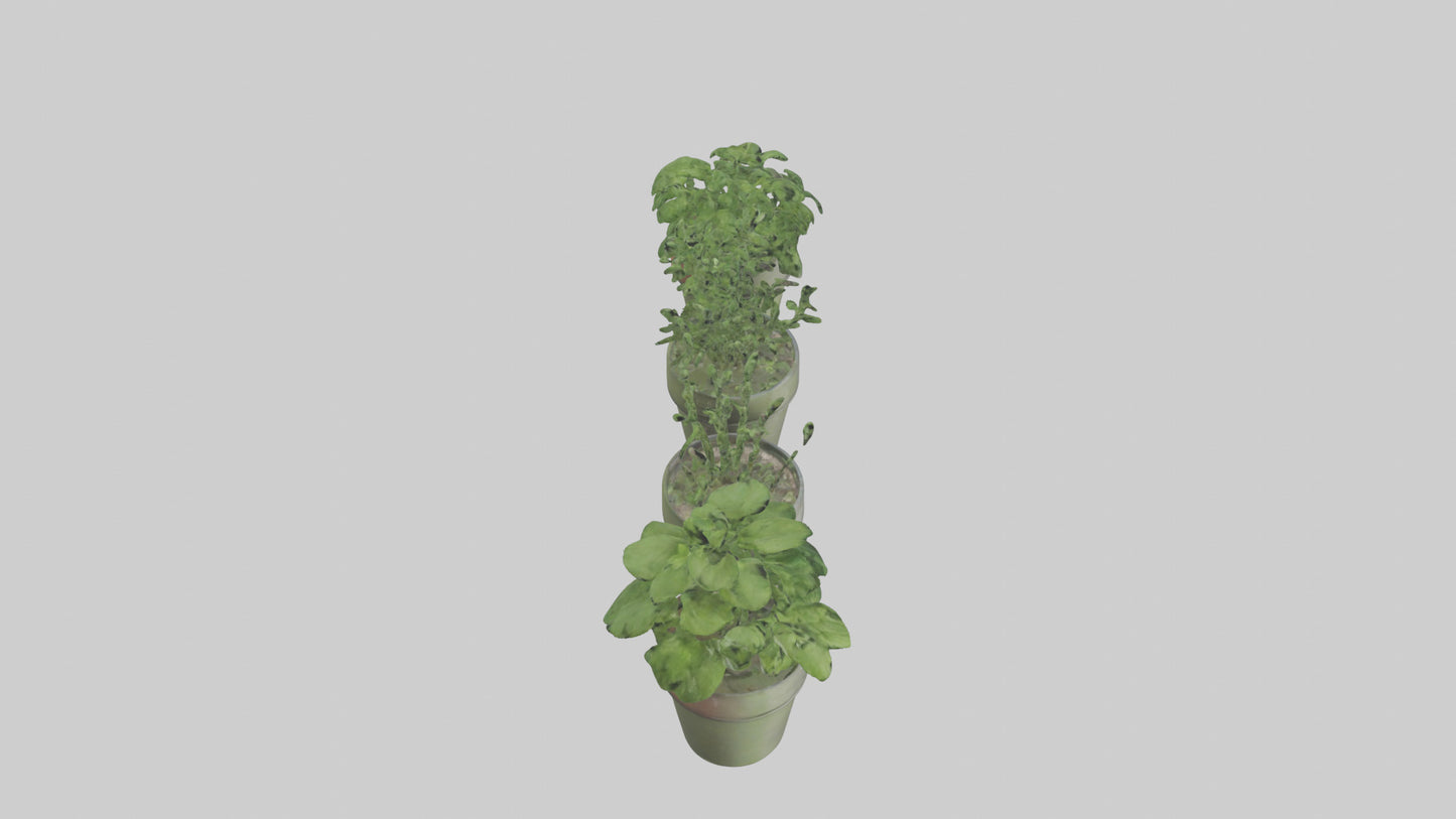 3D model Herb Pots model VR / AR / low-poly