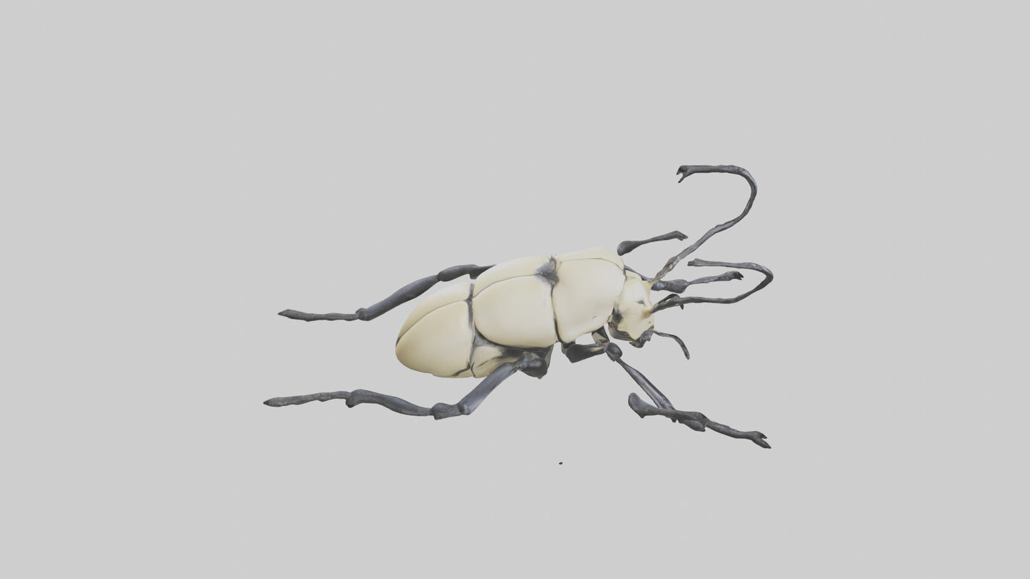 3D model Hercules Beetle climbing tree model VR / AR / low-poly
