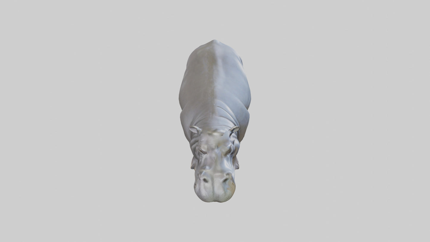 3D model Hippopotamus statue model VR / AR / low-poly