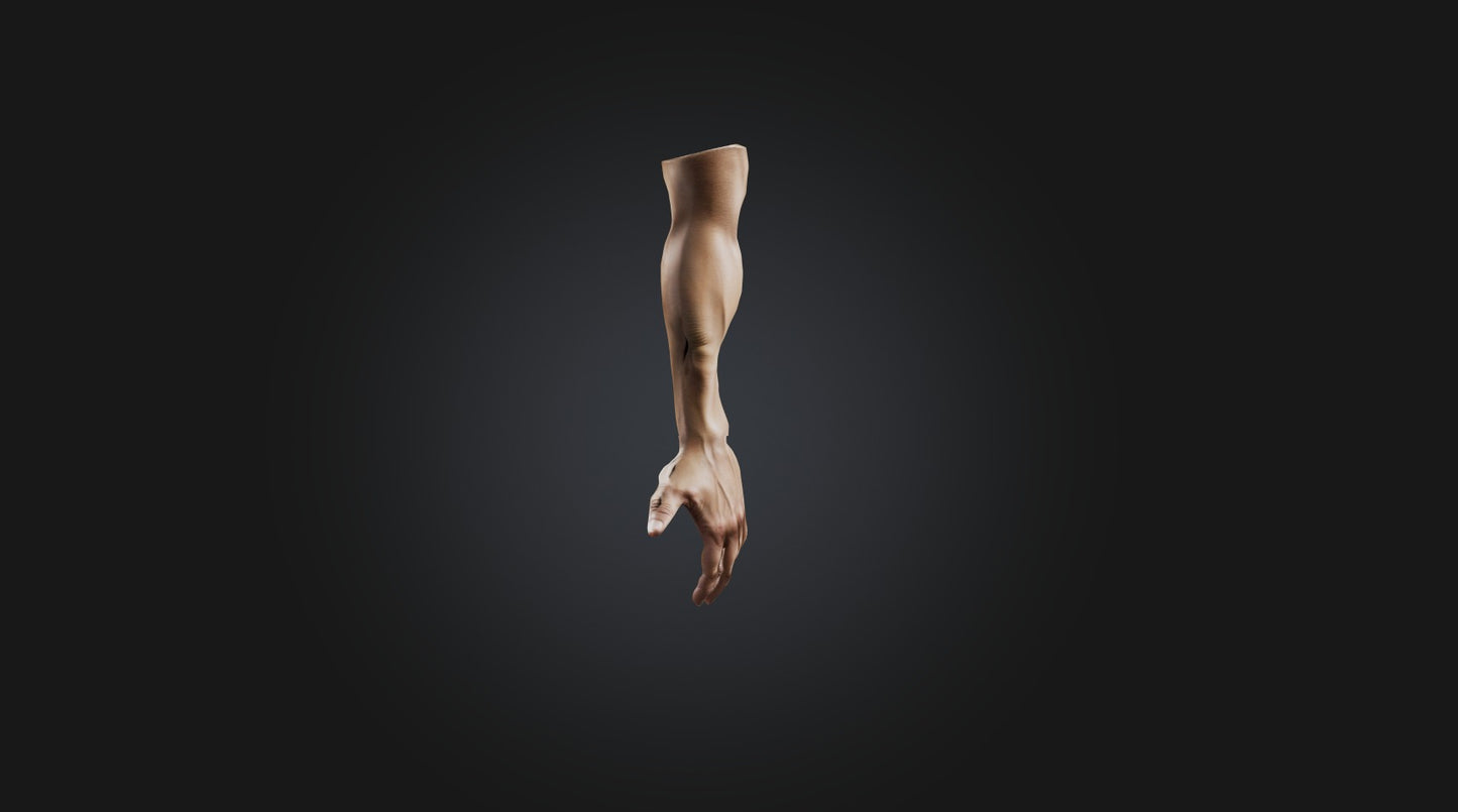 3D model human arm VR / AR / low-poly