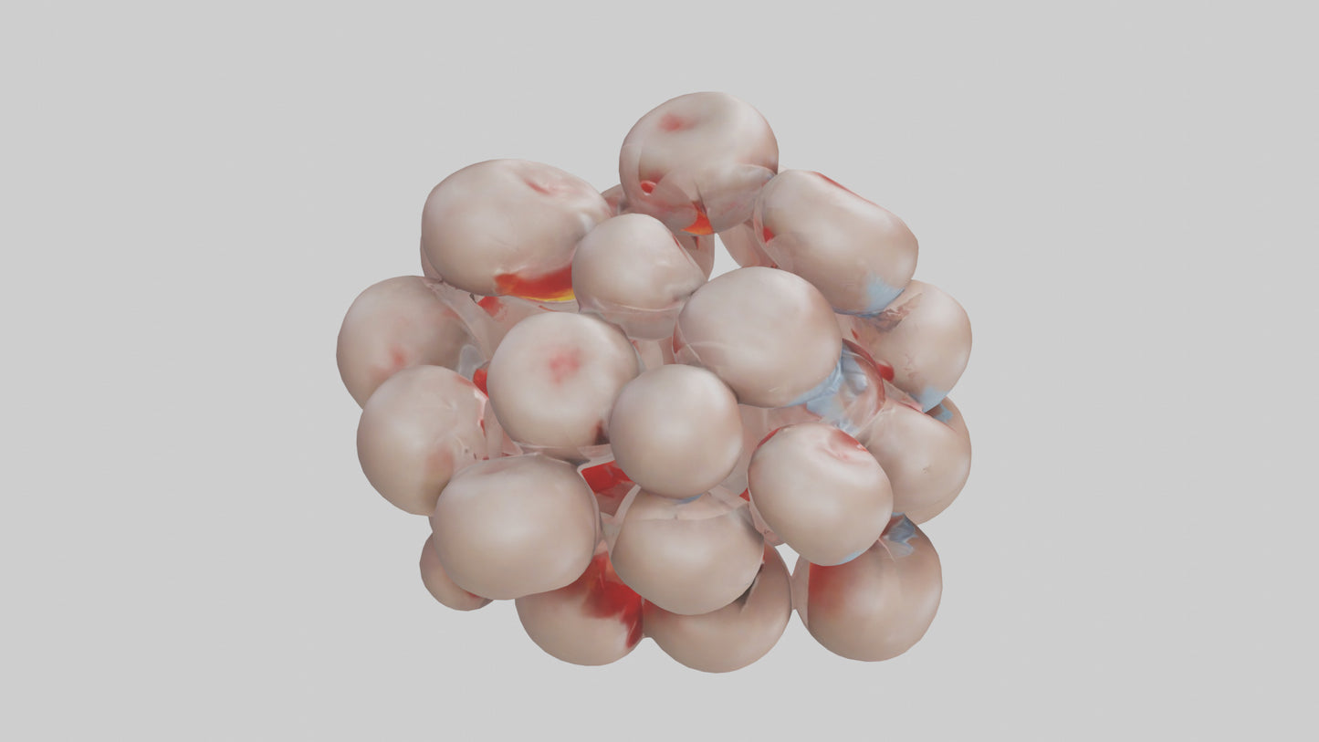 3D model Human Platelets Model VR / AR / low-poly