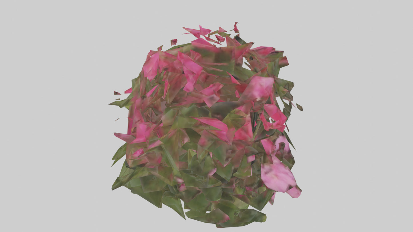 3D model Impatiens model VR / AR / low-poly