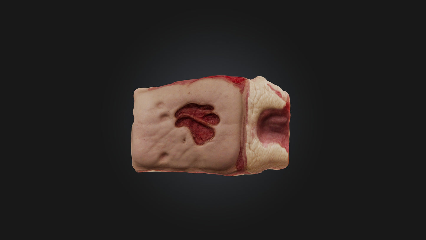 3D model Infected Skin Tissue VR / AR / low-poly