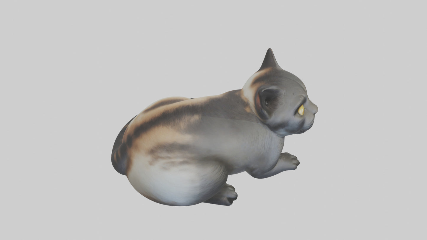 Iriomote Cat resting model VR / AR / low-poly