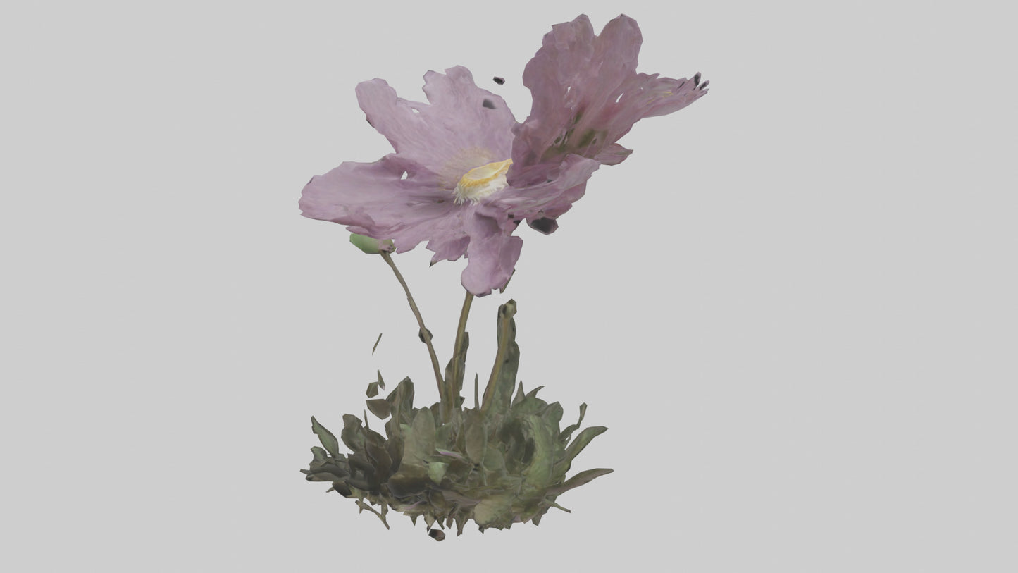 Janus God statue model VR / AR / low-poly