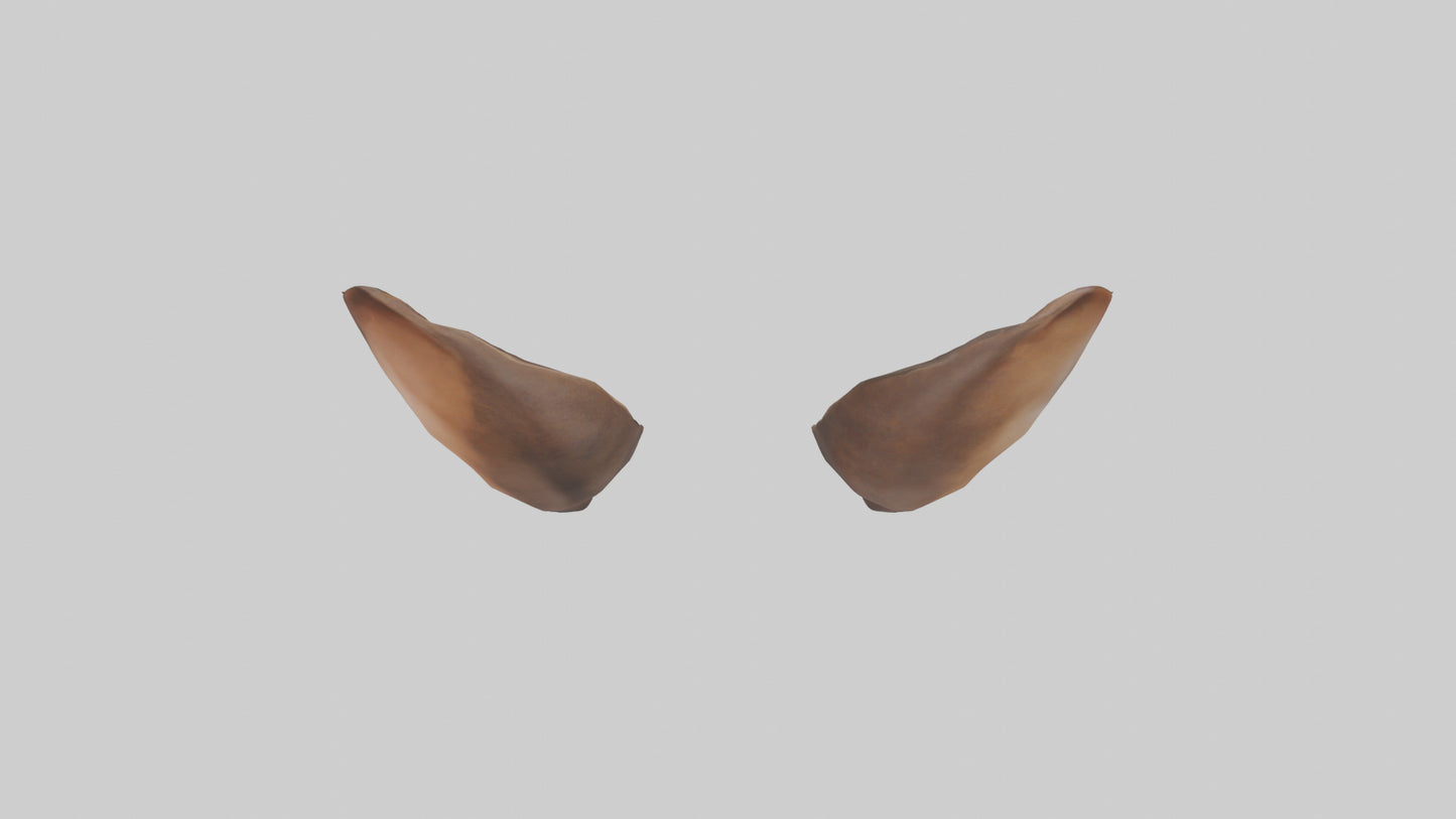 3D model Kangaroo Ears VR / AR / low-poly