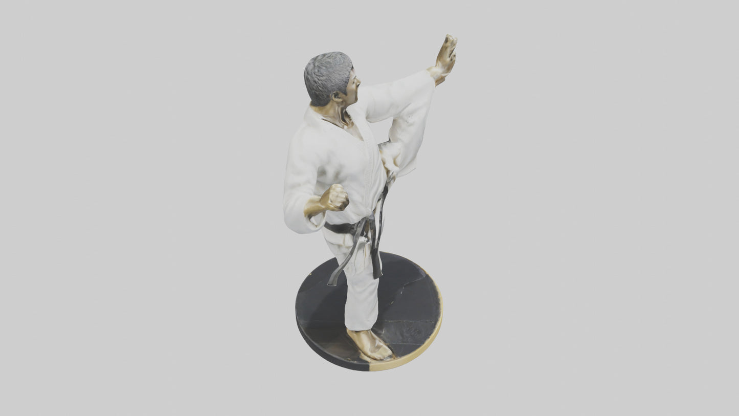 3D model Karate Black Belt Statue model VR / AR / low-poly