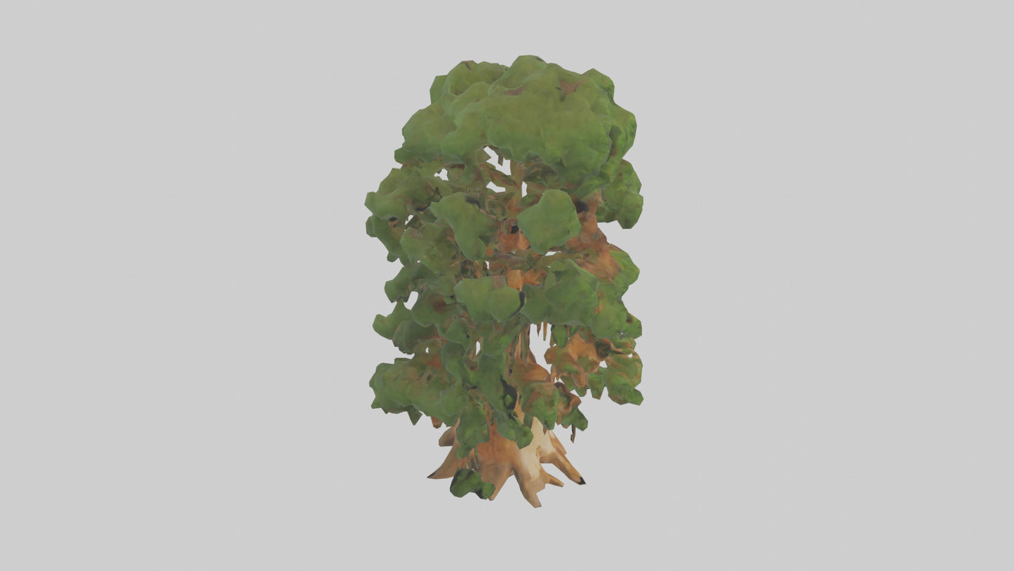 3D model Kauri tree model VR / AR / low-poly