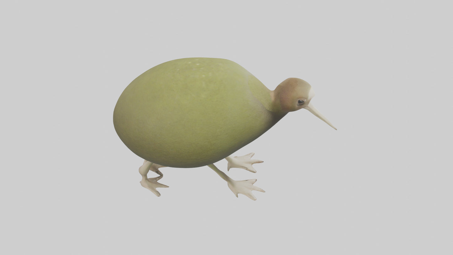 3D model Kiwi walking on forest floor model VR / AR / low-poly