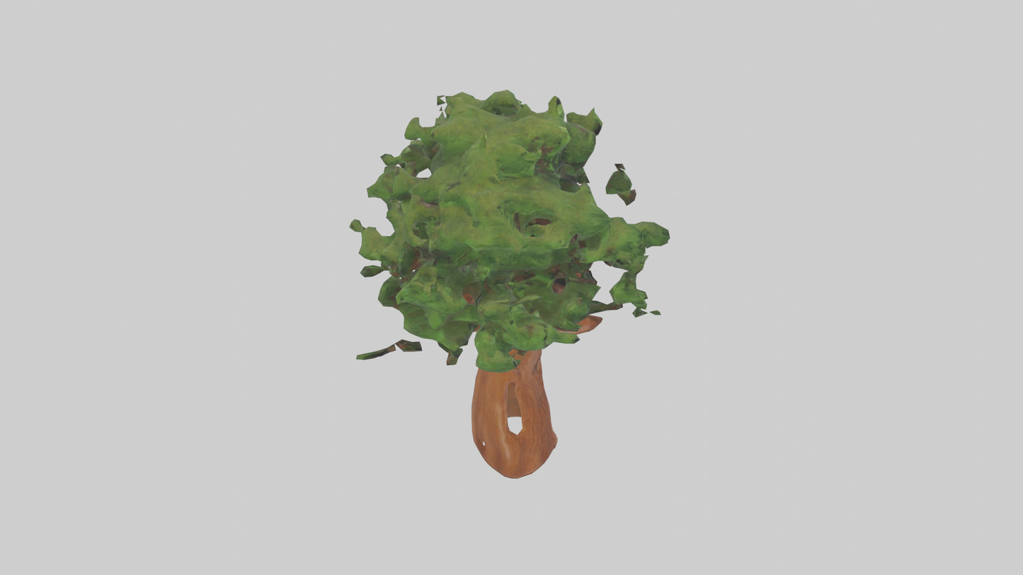 3D model Koa tree model VR / AR / low-poly