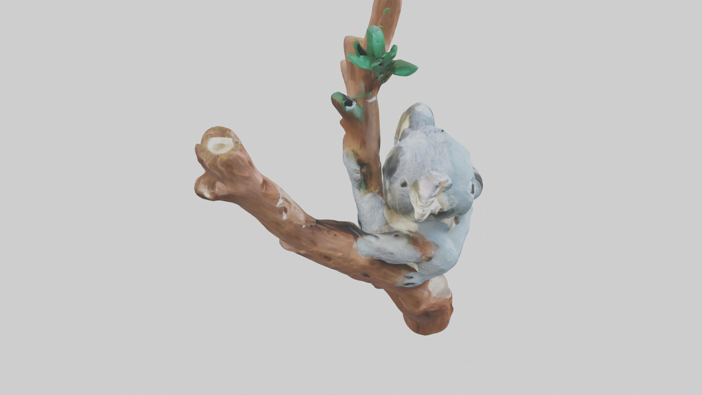 3D model Koala hugging a tree model VR / AR / low-poly