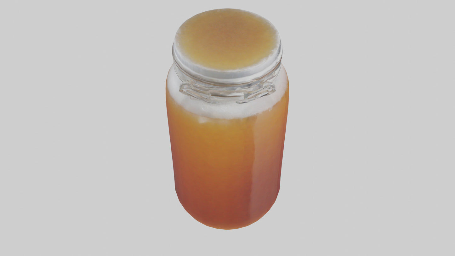 3D model Kombucha model VR / AR / low-poly