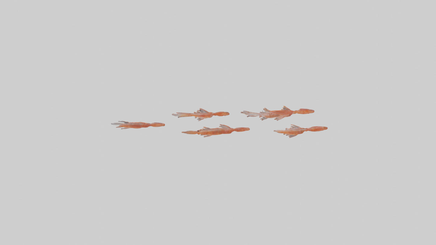 3D model Krill swarming model VR / AR / low-poly