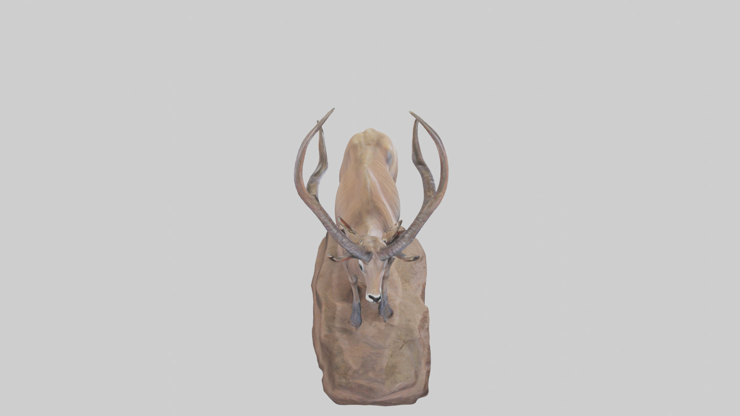 3D model Kudu statue model VR / AR / low-poly