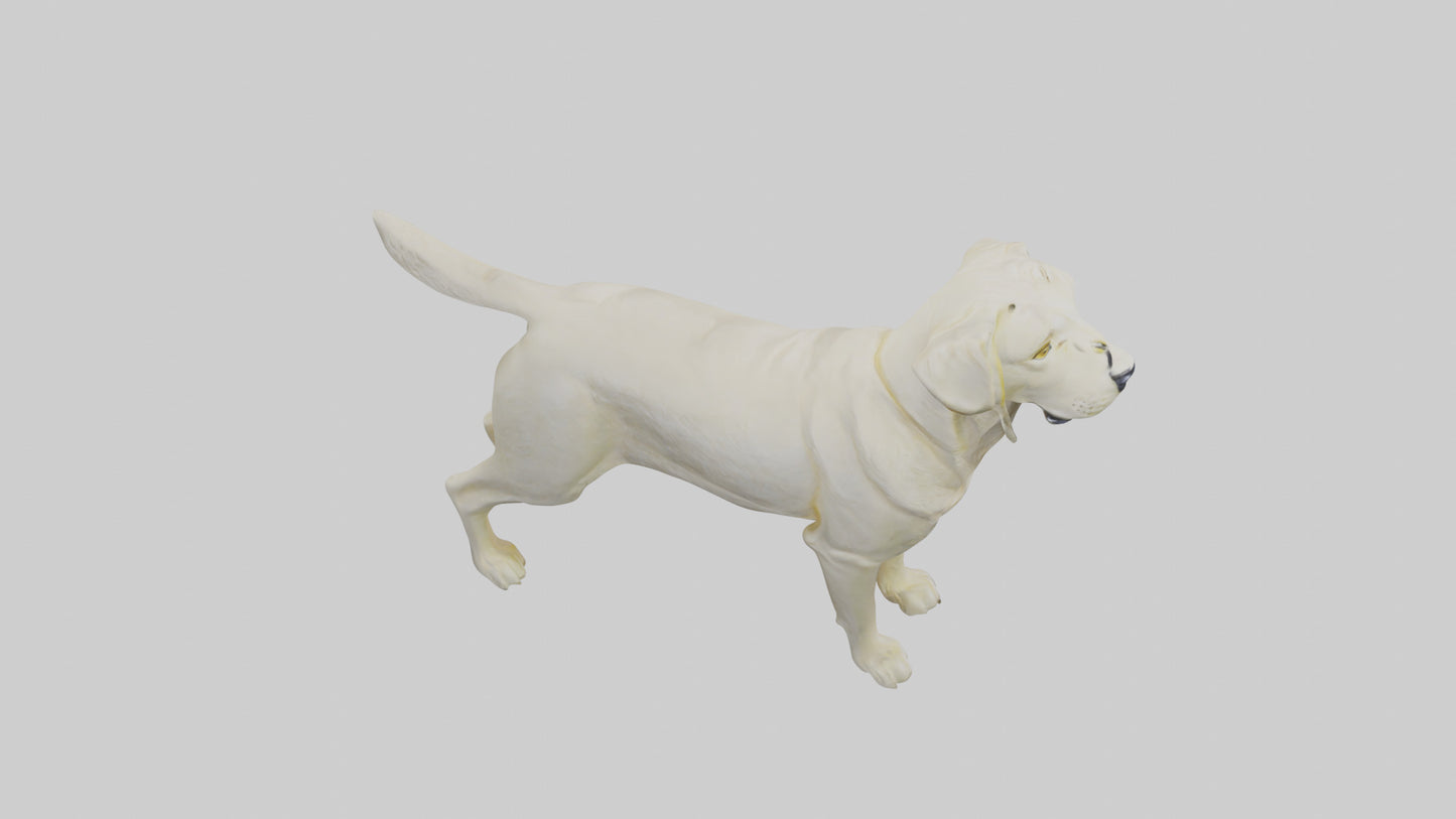 Labrador Retriever statue model VR / AR / low-poly