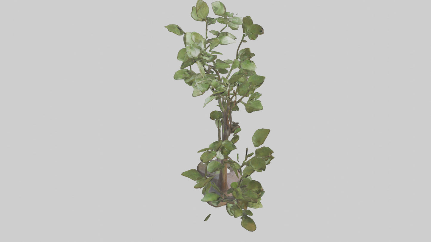 3D model Leafy Branch Sculpture model VR / AR / low-poly