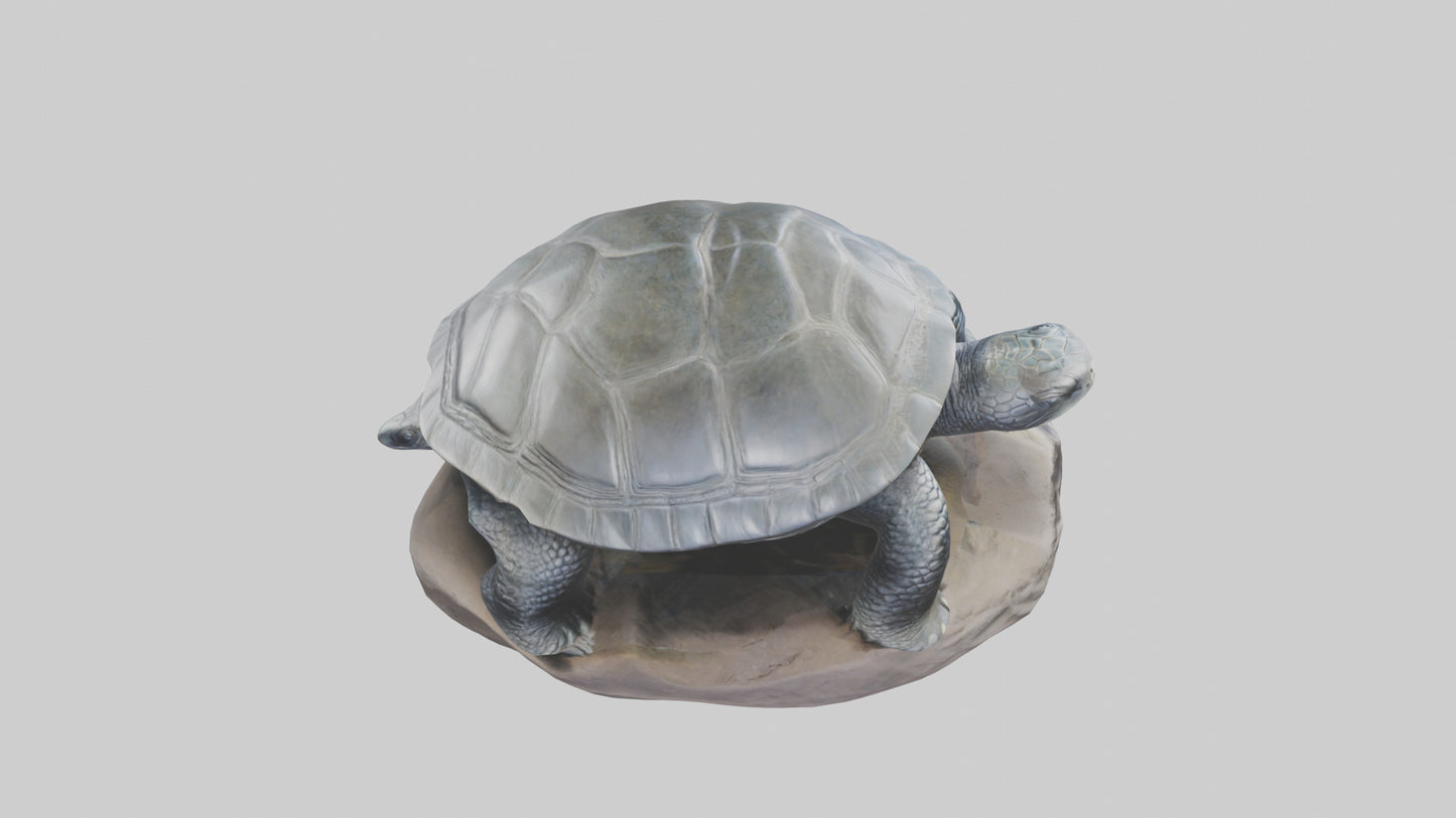 Leatherback Turtle statue model VR / AR / low-poly