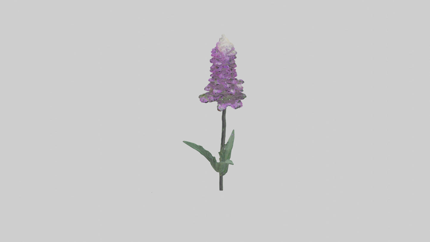 3D model Liatris flower model VR / AR / low-poly