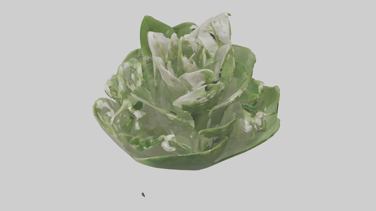 3D model Lily of the Valley model VR / AR / low-poly