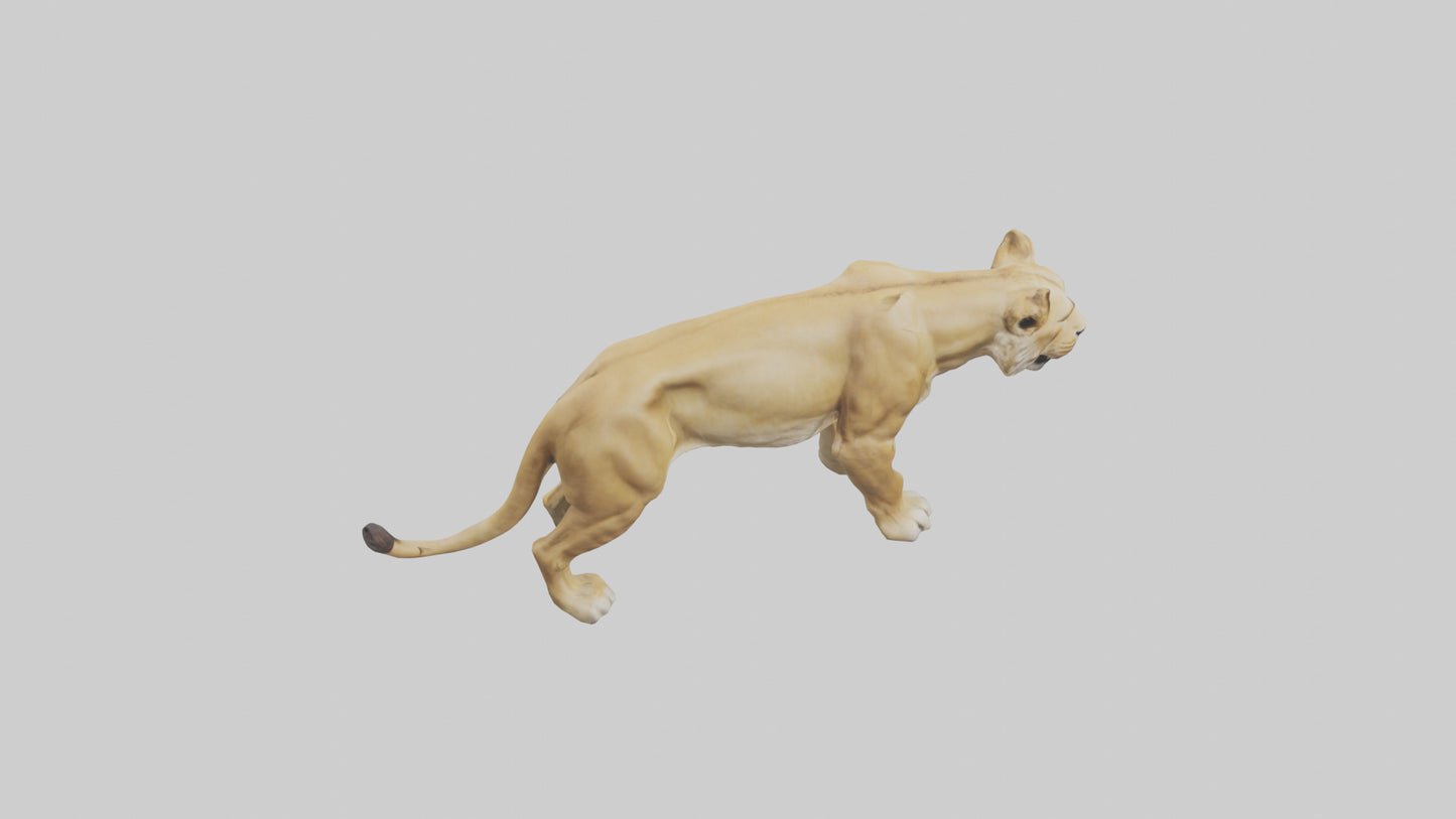 3D model Lioness hunting model VR / AR / low-poly