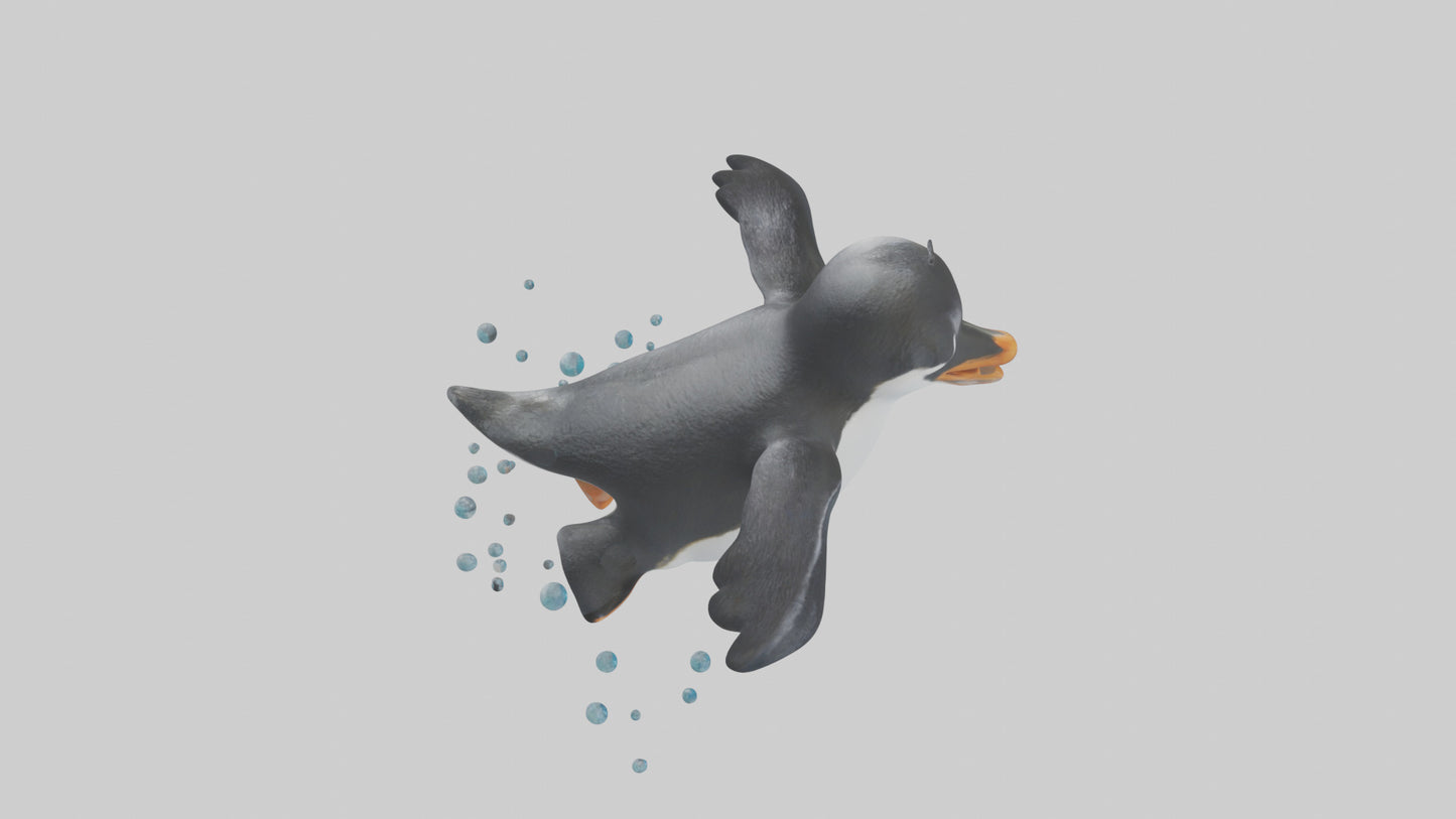 Little Penguin swimming model VR / AR / low-poly