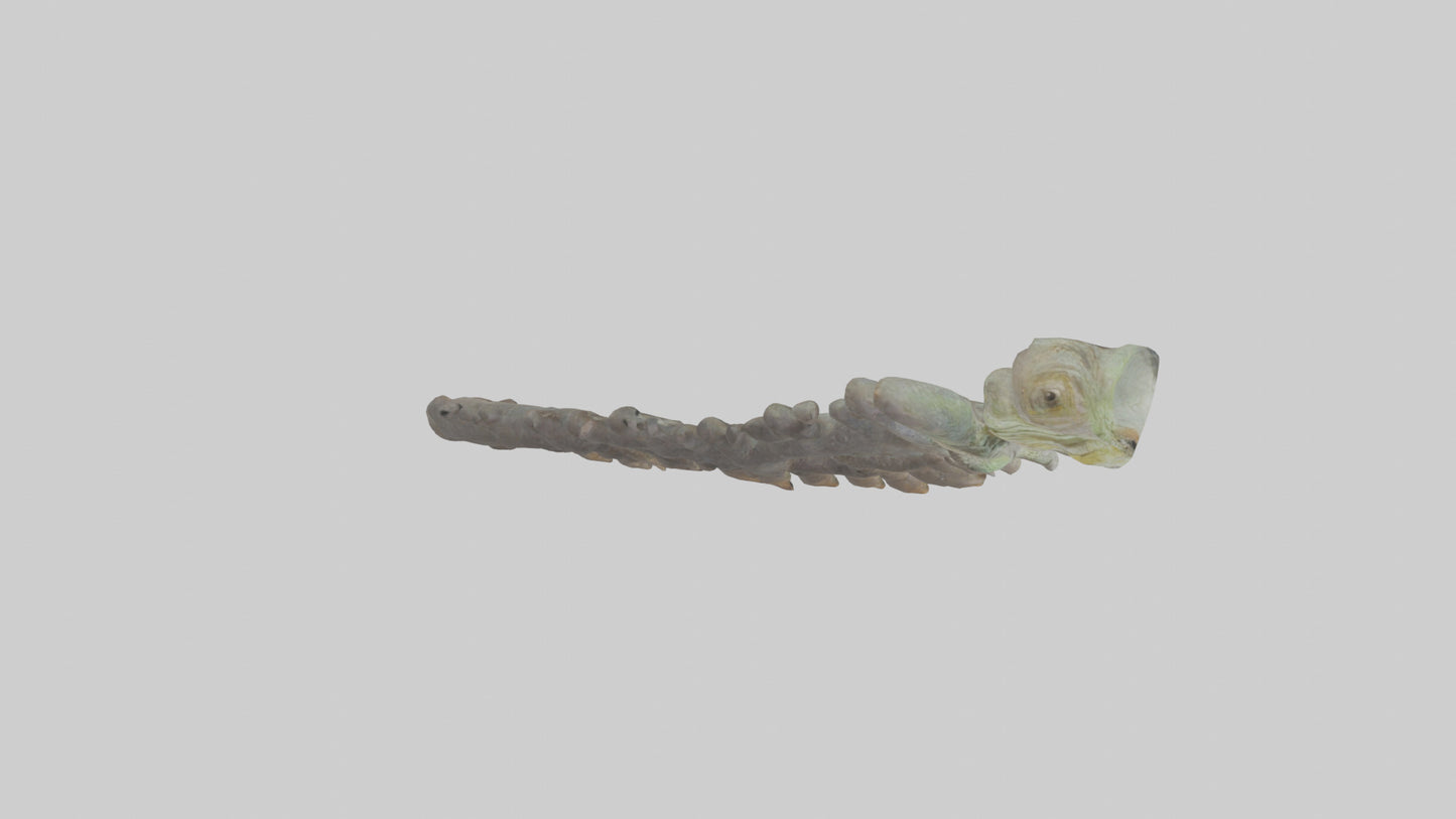 3D model Lizard Rib VR / AR / low-poly