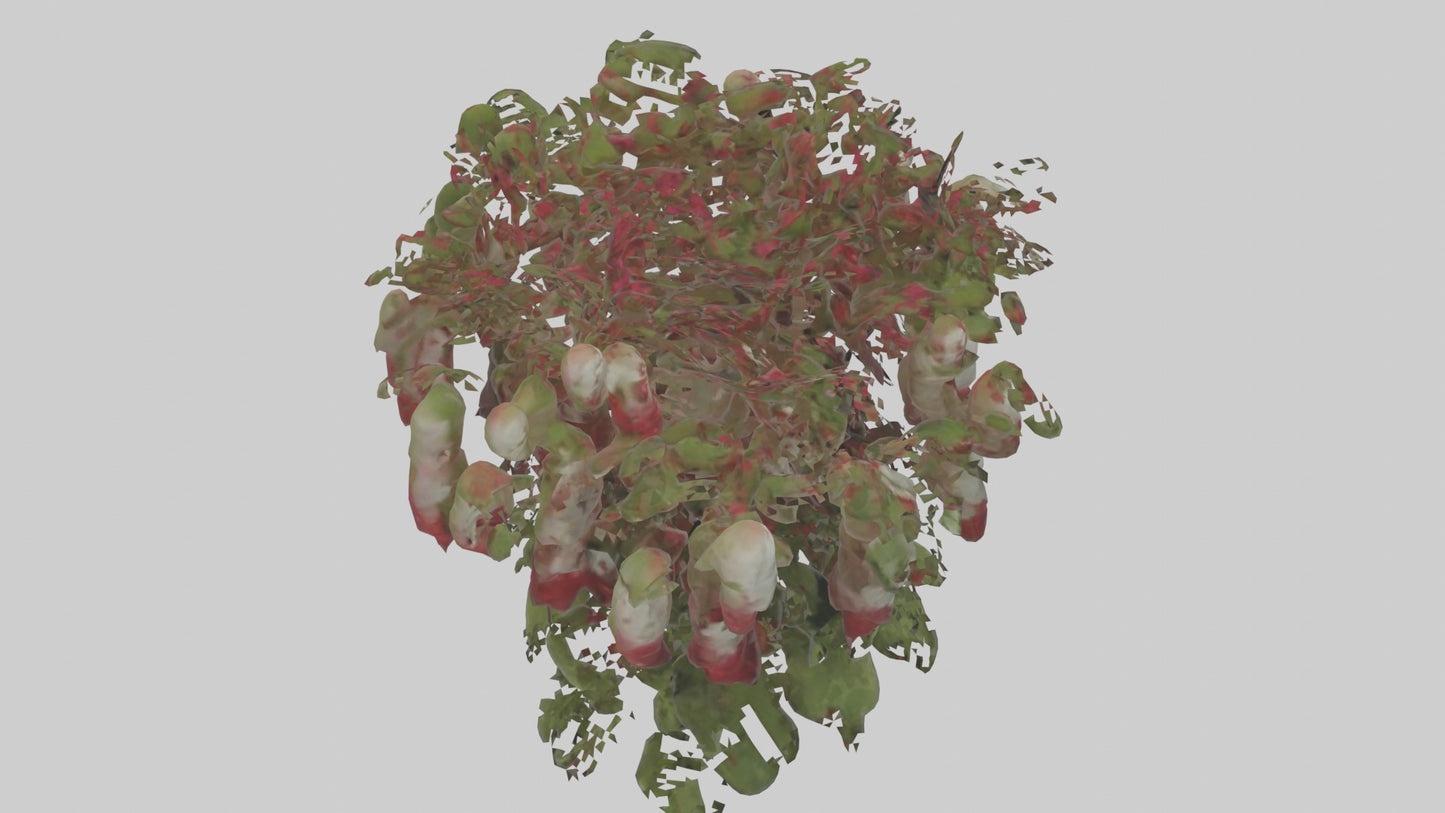 3D model Loveliesbleedingmo 1 VR / AR / low-poly