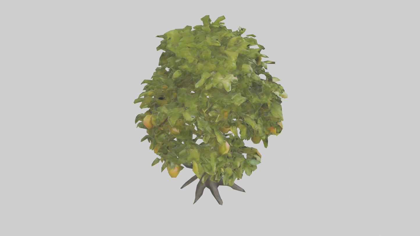 3D model Mango tree model VR / AR / low-poly