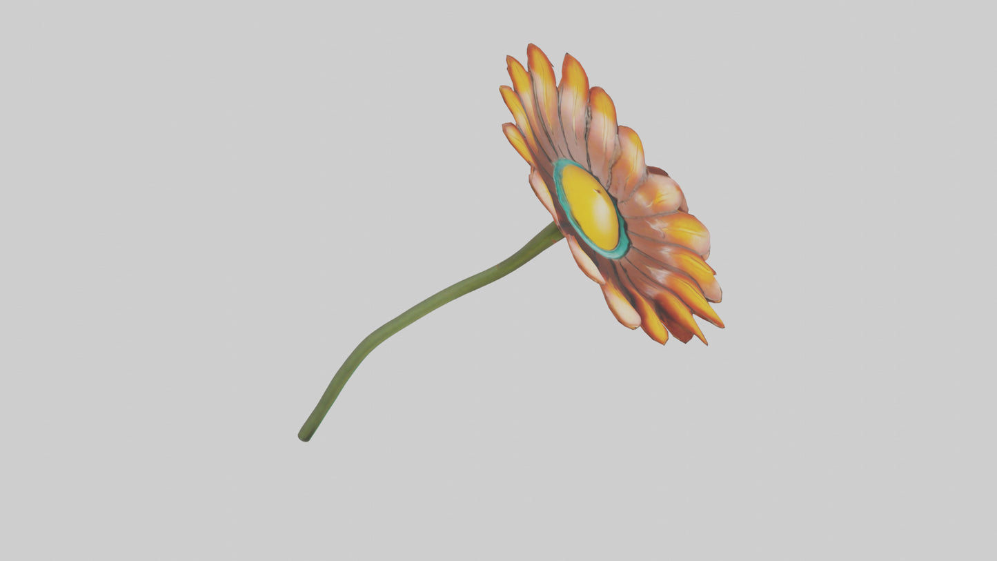 Mexican Hat Flower model VR / AR / low-poly