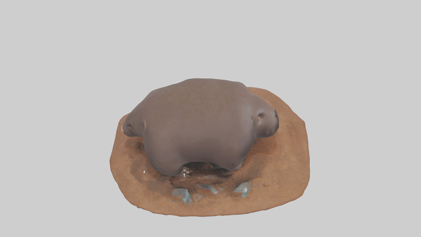 Mole digging model 3D model